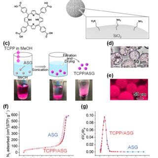 schematic illustration  polarization transfer  tcpp  tempo