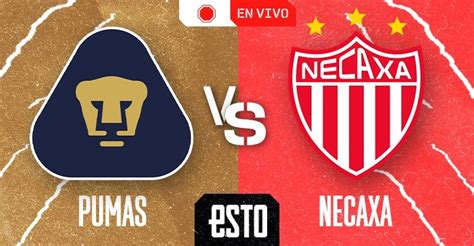 Pumas Vs Necaxa En Vivo Jornada Del Apertura Esto En L Nea