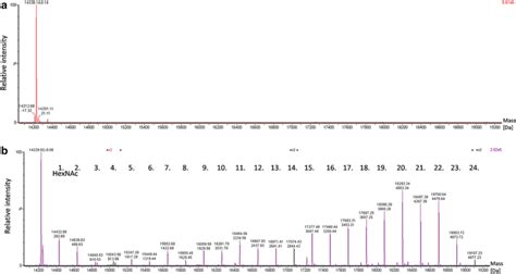 UPLC ESI QTOF MS Analysis Of Intact Unglycosylated And Glycosylated