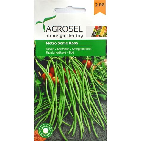 Високодобивни сортове зелен фасул, жълт фасул, боб за зряло и много ...