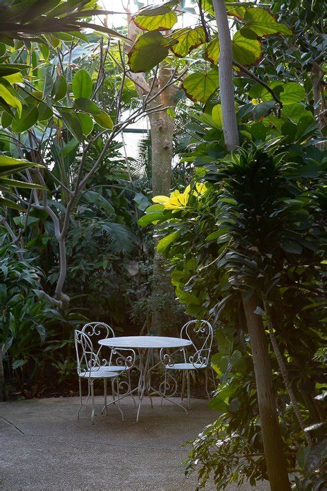 Jardin Des Serres D Auteuil Jardin Botanique Paris