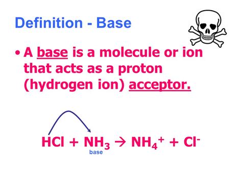 base science definition