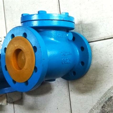 Promo Swing Check Valve Tozen Jis K Uk Inch Klep Tabok Cast Iron