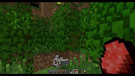 Minecraft Snapshot 12w03a Jungle Biome And Bred Wolves Youtube