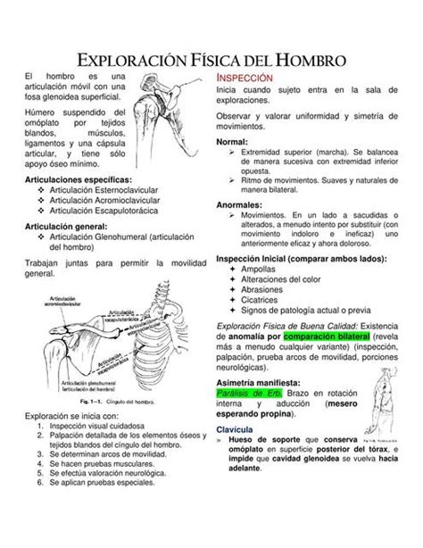 Exploración Física Del Hombro Alan Mendoza Udocz