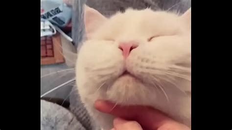 Welfare Ji Fully Nude 25 Xxx Mobile Porno Videos Movies IPornTV Net