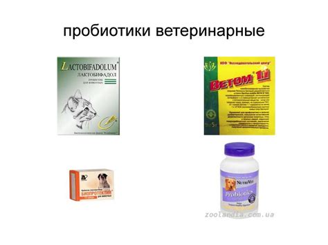 Средства, влияющие на функции органов пищеварения - презентация онлайн