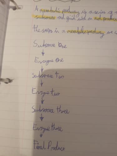 Metabolic Pathways Flashcards | Quizlet