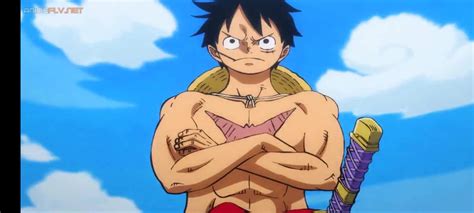 Luffy Wano Wiki One Piece Amino