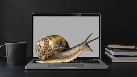 How To Fix Slow Old Laptop Ultimate Laptop Repair Singapore