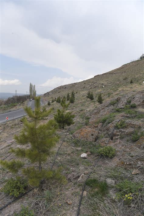 Kayseri Soğanlı Vadisi 2
