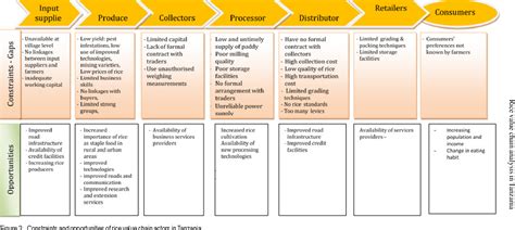 Table From Rice Value Chain Analysis In Tanzania Identification Of