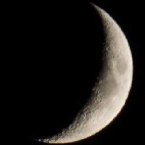 Stream SCHIZOPHRENIC FUCK Lazy Freestyle By JahsiahsValentine