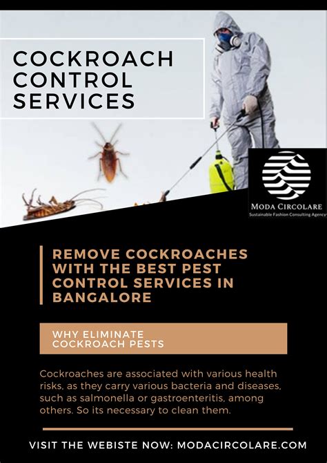 Best Pest Control For Cockroaches In Bangalore PestPhobia