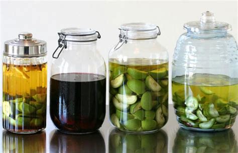 Todikamp: the universal cure 100 diseases!