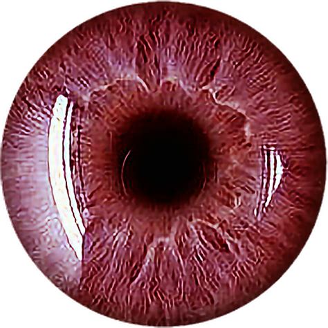 Bloodshot Eyes Png Transparent Bloodshot Eyes Png Ima