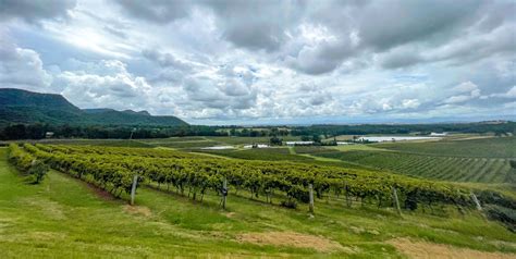 Wine Tour To The Hunter Valley