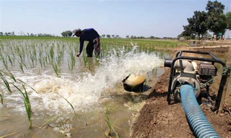 Kemarau Ditjen PSP Terus Upayakan Pengairan Sawah AgroIndonesia