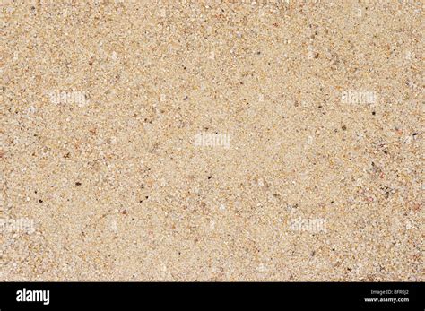 Consistenza granulosa della sabbia immagini e fotografie stock ad alta ...