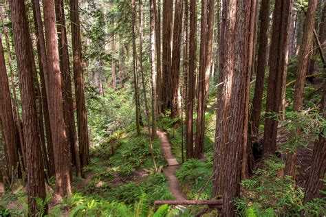 Sonoma Airport Express price hikes affect all wine country travelers 7