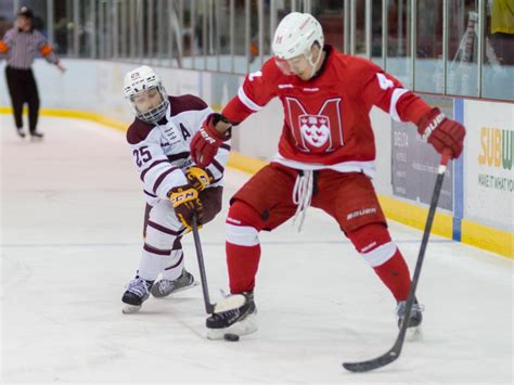 McGill Athletics men’s teams renamed the Redbirds | Sports – The Link