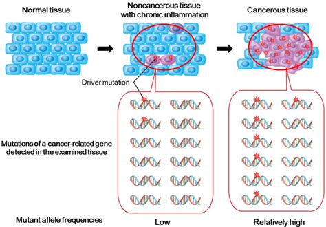 Cancers Special Issue Next Generation Sequencing Approaches In Cancer