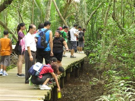 Adventures With The Naked Hermit Crabs Chek Jawa Boardwalk Anniversary