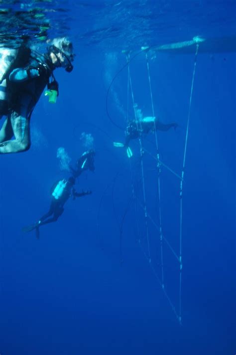 Journey To Bikini Atoll X Ray Mag