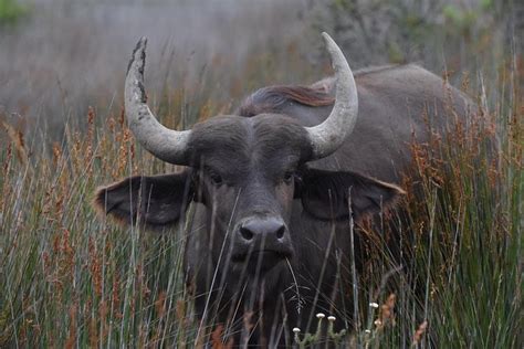 Tour De 5 Días Por Garden Route Y Parque Nacional Addo Elephant