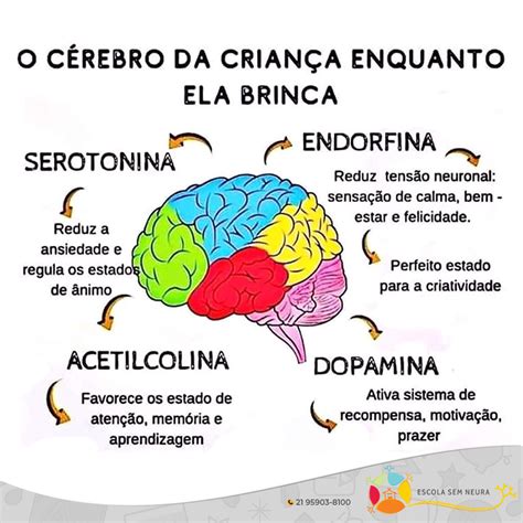 Serie Entendendo A Crianca Aula 1 O Cerebro Da Crianca Otosection