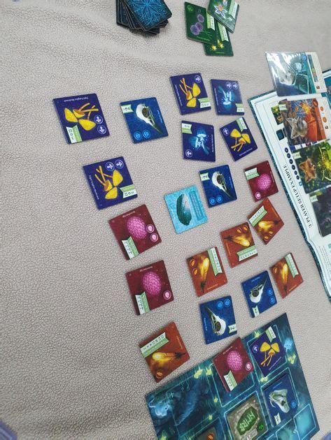 how to play nocturne