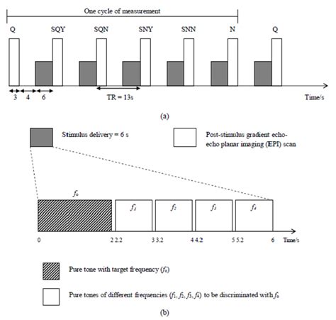 schematic representation   timing diagram  stimulus delivery