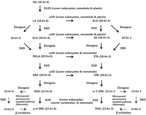 Nutrients | Free Full-Text | Fatty Acid Desaturases, Polyunsaturated ...