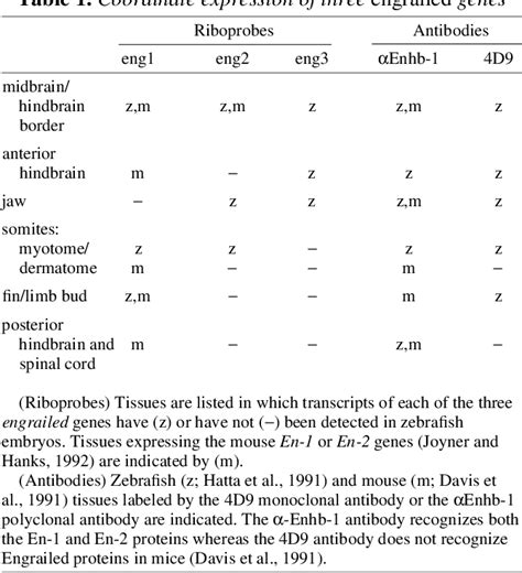 Table From Coordinate Embryonic Expression Of Three Zebrafish