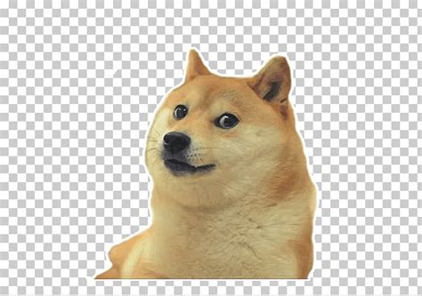 Doge Template Roblox