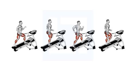 Walking On Incline Treadmill Guide Benefits And Form