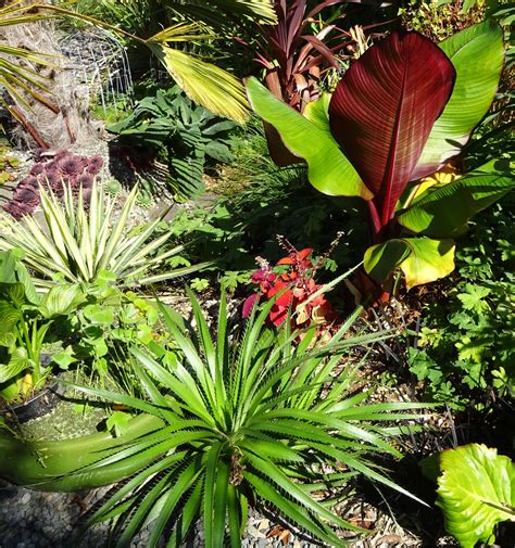 gardener's garden 10