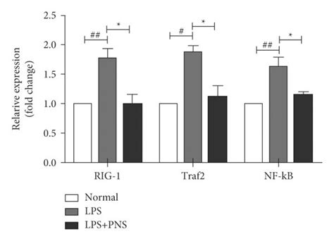 The effect of PNS on RIG-I/Traf2/NF-κB (p65) signaling pathway in ...