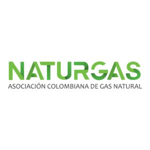 ASOCIACIÓN COLOMBIANA DE GAS NATURAL Inspenet Corporate