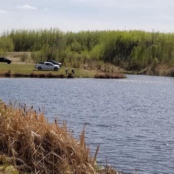boyle fish pond boyle alberta  towns  canada