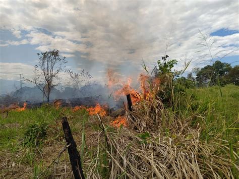 Incendios Forestales En El Huila No Dan Tregua