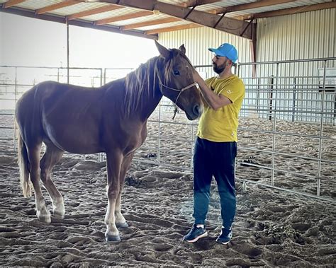 stay   ranch wild mustang ranch