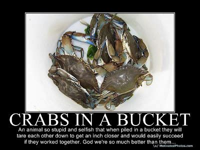 Crabs In A Barrel Quotes. QuotesGram