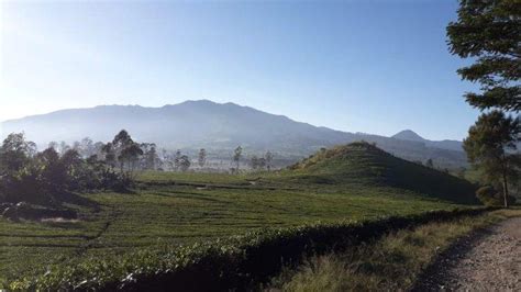 Mengapa Bandung Dan Kota Lain Di Indonesia Suhunya Lebih Dingin Padahal