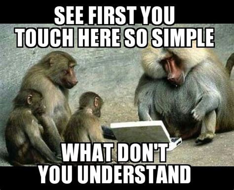 25 Funny Monkey Memes Youll Totally Fall In Love With Sayingimages