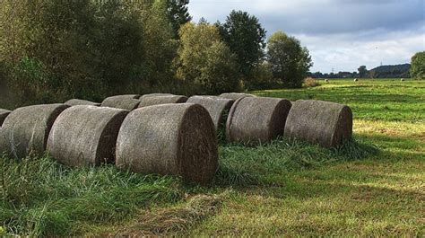 Straw Bales Hay Meadow - Free photo on Pixabay - Pixabay