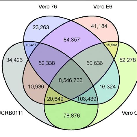 | Venn diagram of SNVs shared among the four different Vero sublines ...