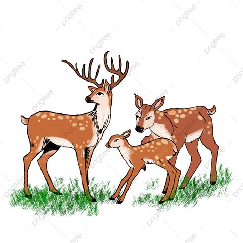 Hand Drawn Cartoon Hd Transparent Vector Hand Drawn Cartoon Deer