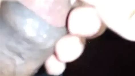 Segone Free Solo Man Porn Video 0c XHamster