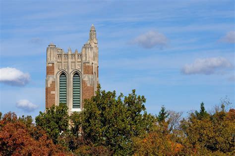 michigan state university hybrid education partnership